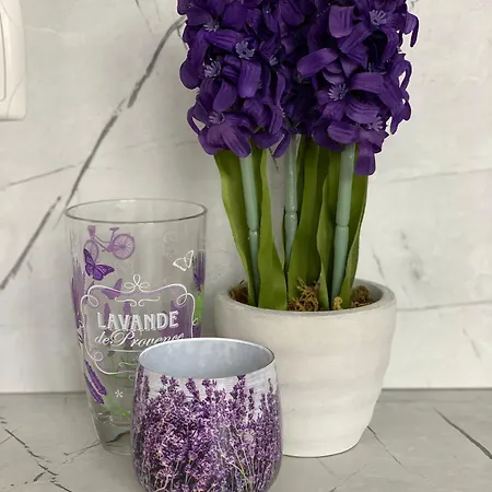 къщата на анхел Διαμέρισμα