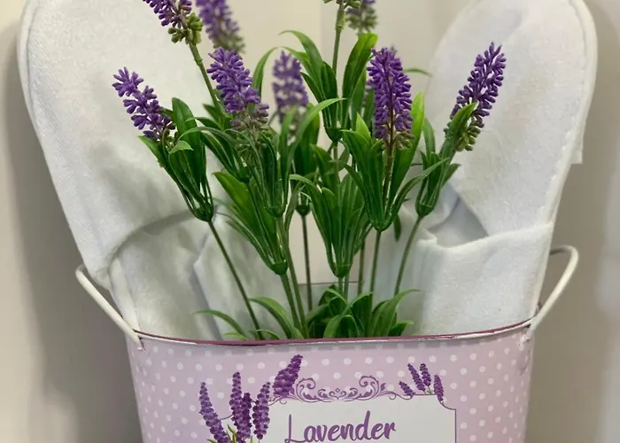 アパート къщата на анхел