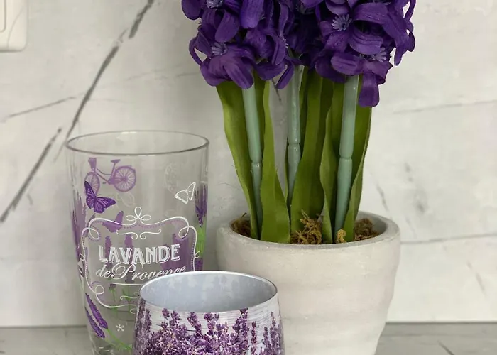 къщата на анхел アパート