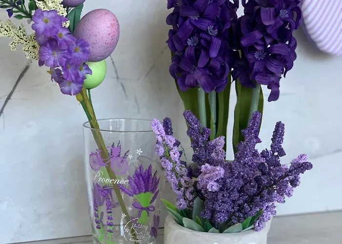 къщата на анхел アパート