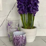 къщата на анхел Apartament