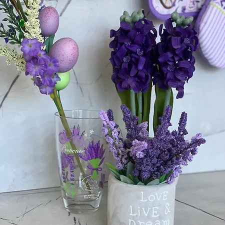 къщата на анхел Appartement